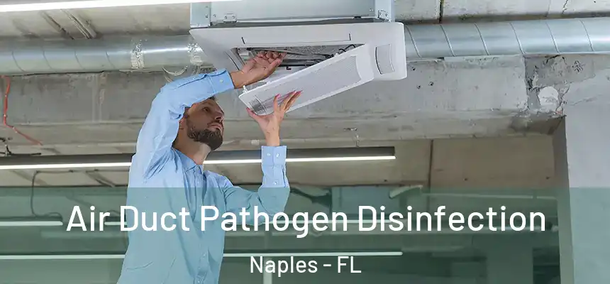 Air Duct Pathogen Disinfection Naples - FL