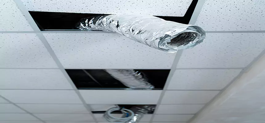 Our Air Duct Pet Hair Removal Services in Naples, FL