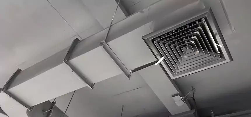 Restorative Allergy Relief Vent Cleaning – Coil, Blower & Housing Detail in Naples