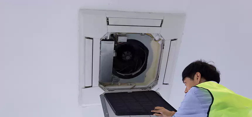 Our Dryer Vent Sanitization Service Services in Naples, FL