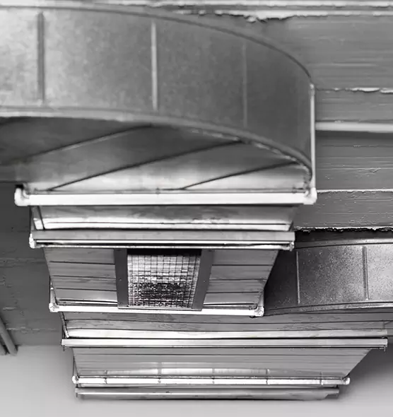 Professional Air Duct Pet Hair Removal in Naples, FL
