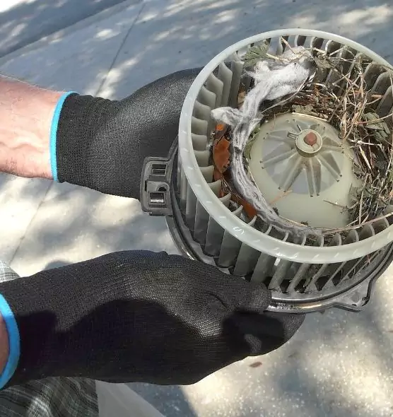 About Air Duct Rat Removal in Naples, FL