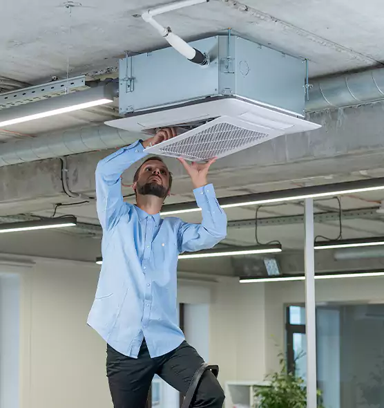 Advanced Rodent Droppings In Vents in Naples, FL